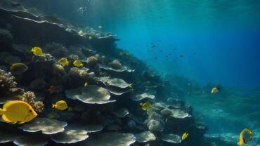 Best Scuba Diving in the Atlantic and Mediterranean: Top Sites and Tips